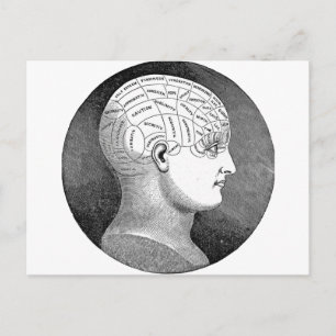 Awesome Vintage Art Phrenology head Diagram Postcard