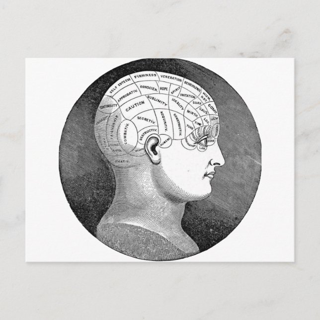 Awesome Vintage Art Phrenology head Diagram Postcard (Front)