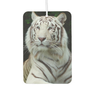 Awesome White Tiger Car Air Freshener