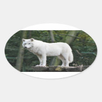 Awesome White Wolf