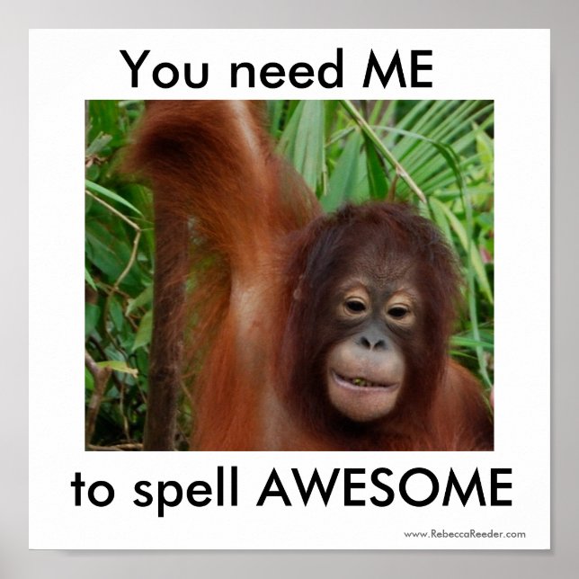 Awesome: you need me poster (Front)