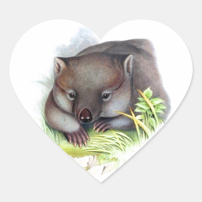 Awesomely cute Australian animal wombat vintage Heart Sticker (Front)