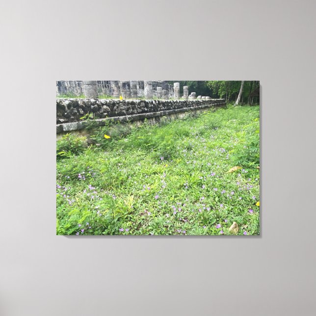 aWorld2Celebrate: Chichén Itzá Butterflies Canvas Print (Front)