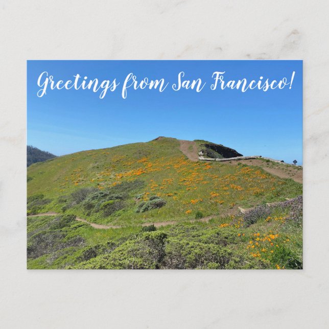 aWorld2Celebrate: Greetings from San Francisco! Postcard (Front)