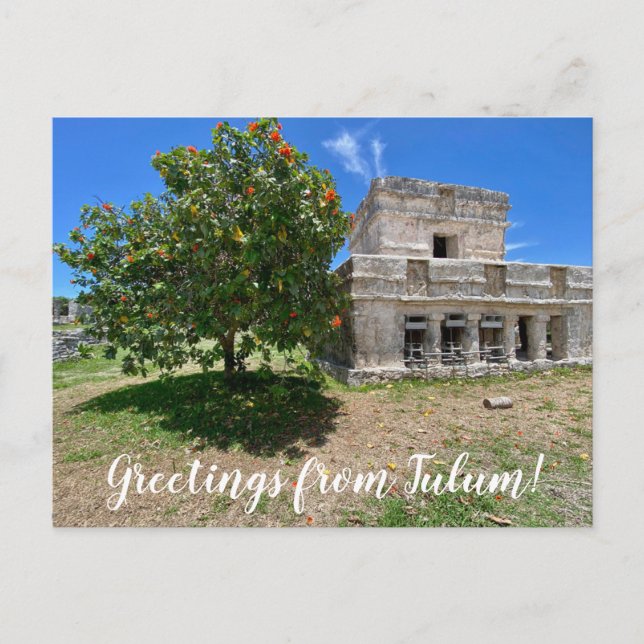 aWorld2Celebrate: Greetings from Tulum! Postcard (Front)