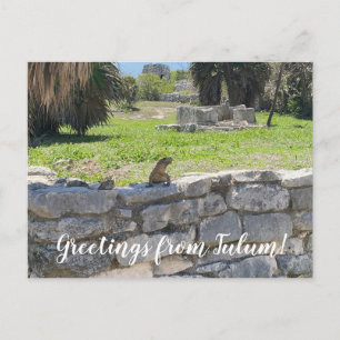aWorld2Celebrate: Greetings from Tulum! Postcard