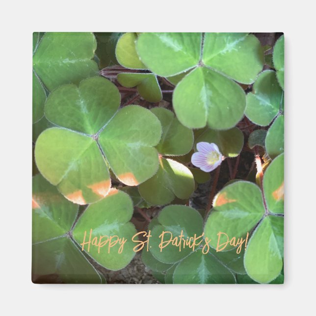 aWorld2Celebrate: Happy St. Patrick's Day! Magnet (Front)