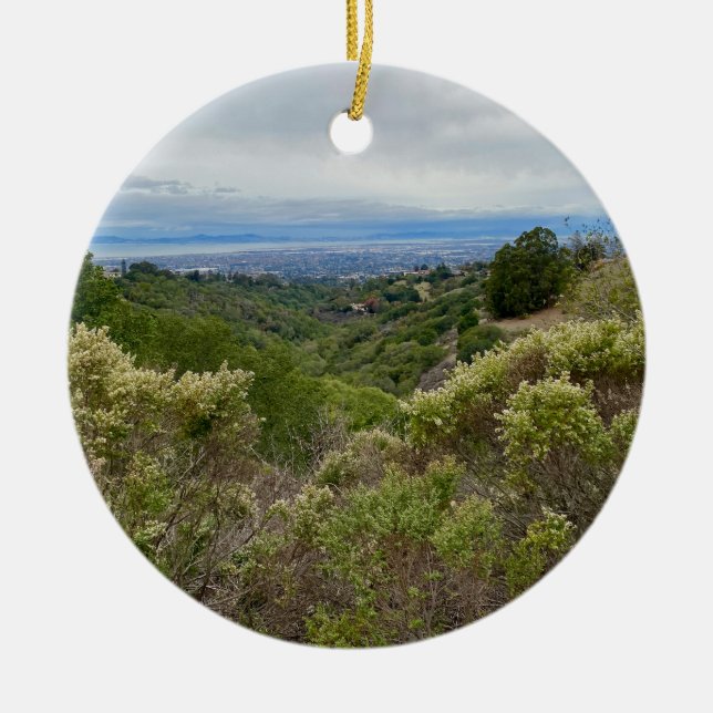 aWorld2Celebrate: Hayward, CA Ceramic Tree Decoration (Front)