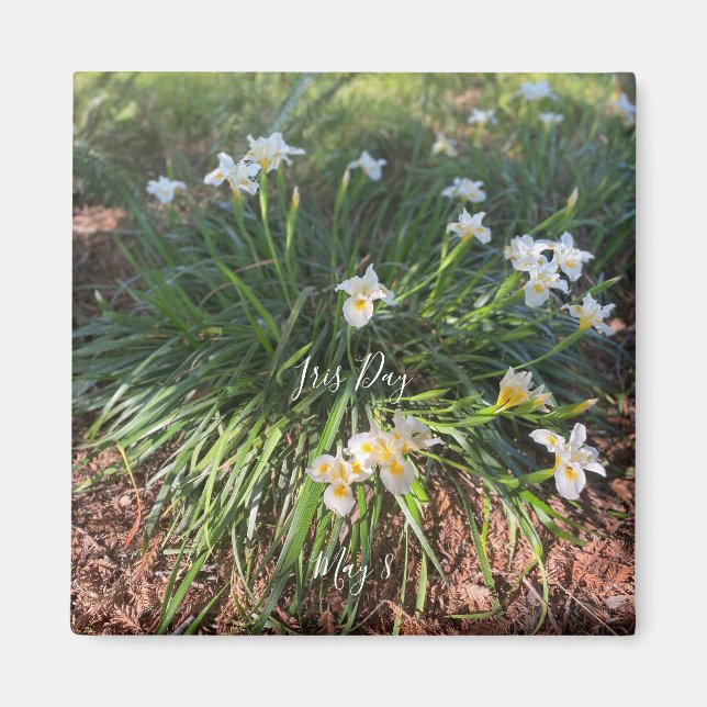 aWorld2Celebrate: Iris Day Magnet (Front)