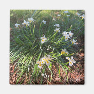 aWorld2Celebrate: Iris Day Magnet