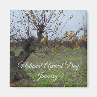 aWorld2Celebrate: National Apricot Day Magnet