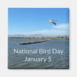 aWorld2Celebrate: National Bird Day Magnet