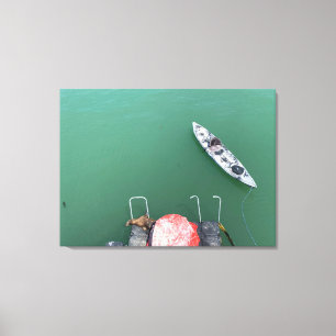 aWorld2Celebrate: Santa Cruz Lion Canvas Print