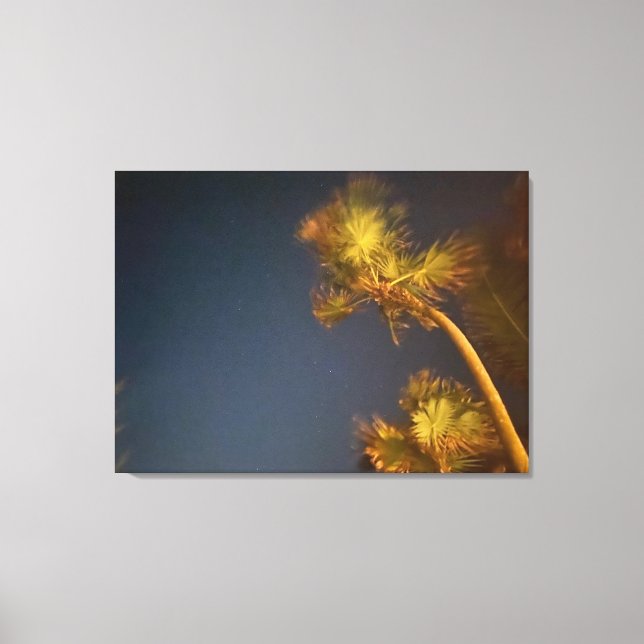 aWorld2Celebrate: Starry Palms Canvas Print (Front)