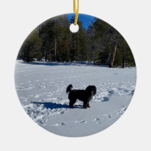 aWorld2Celebrate: Tahoe Snow Dog Ceramic Tree Decoration