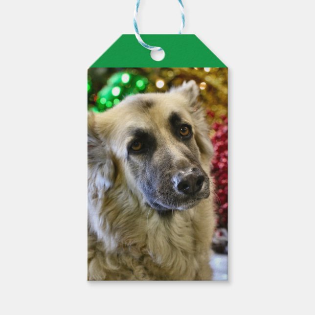 Aww Gift Tags (Front)