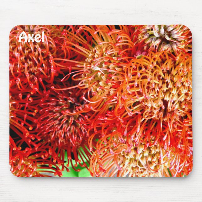 AXEL ~ Personalized Striking Banksia ~  Mouse Pad (Front)