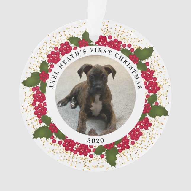 Axel's First Christmas Ornament (Front)