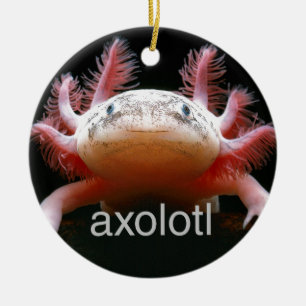 Axolotl Axolotl Axolotl Axolotl Ceramic Tree Decoration