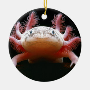 Axolotl Axolotl.png Ceramic Tree Decoration