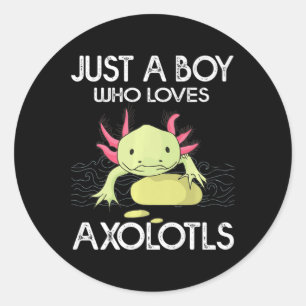 Axolotl Gift Anime Japanese Just A Boy Who Loves A Classic Round Sticker