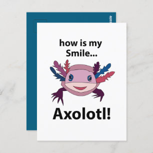 Axolotl How Is My Smile Funny Axolotl Postcard