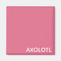Axolotl pink colour name