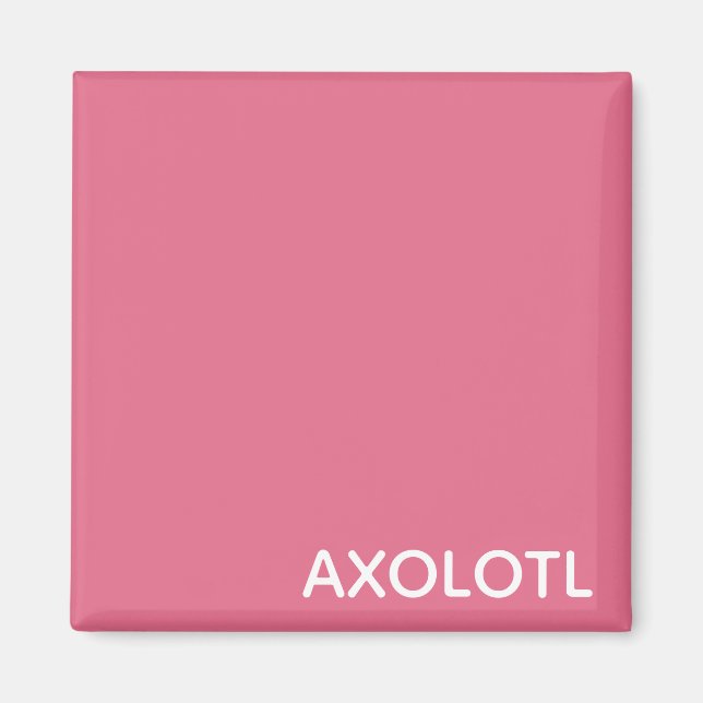 Axolotl pink colour name magnet (Front)