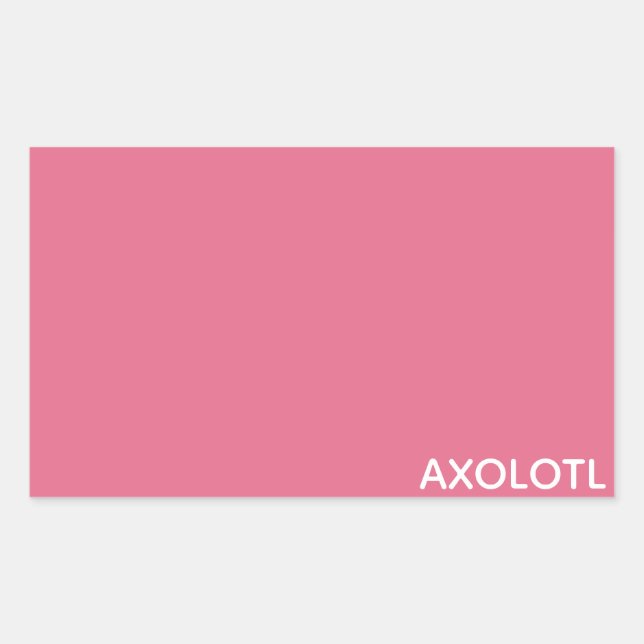 Axolotl pink colour name rectangular sticker (Front)