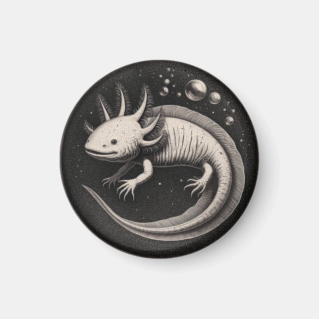 Axolotl Vintage Illustration  Magnet (Front)
