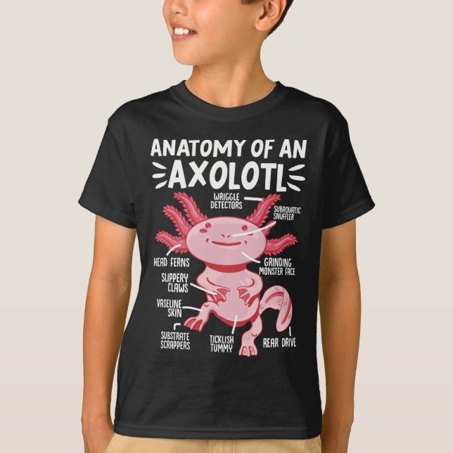 Axolotls Anatomy Of An Axolotl Kawaii T-Shirt (Front)