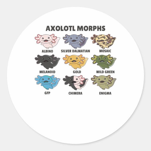 Axolotls From The World Sweet Animals Axolotl Classic Round Sticker (Front)