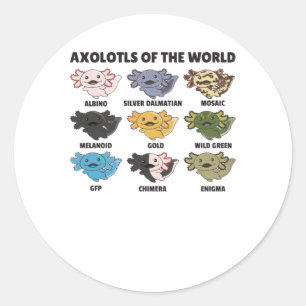 Axolotls From The World Sweet Animals Axolotl Classic Round Sticker
