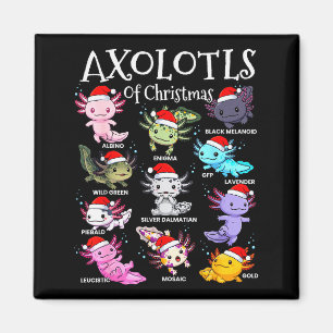 Axolotls Santa Hat Christmas Pajama Cute Animal Ax Magnet
