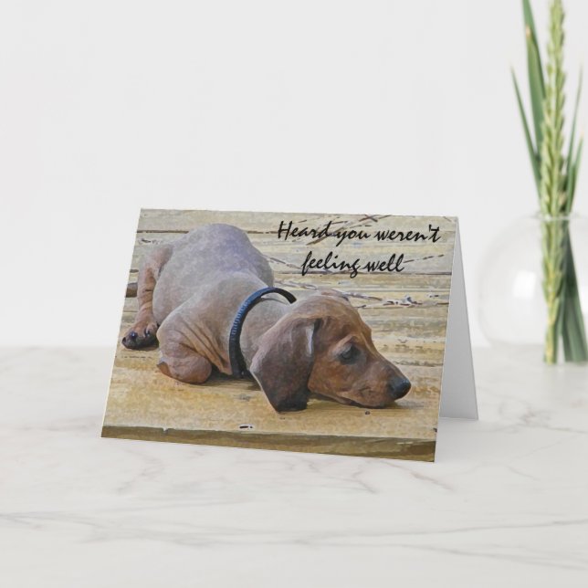 AY- Funny Dachsund Puppy Dog Get Well Card (Front)