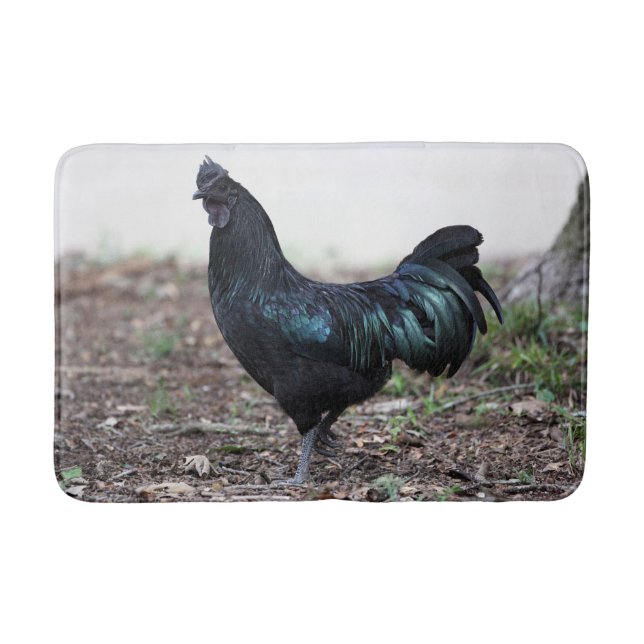 Ayam Cemani Cockerel Black Chicken Rooster Bath Mat (Front)