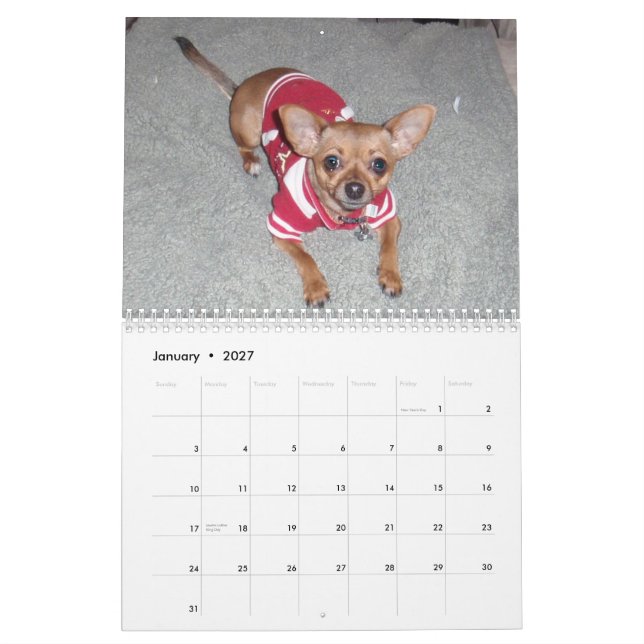Aye Chihuahua 2011 Calendar (Jan 2027)