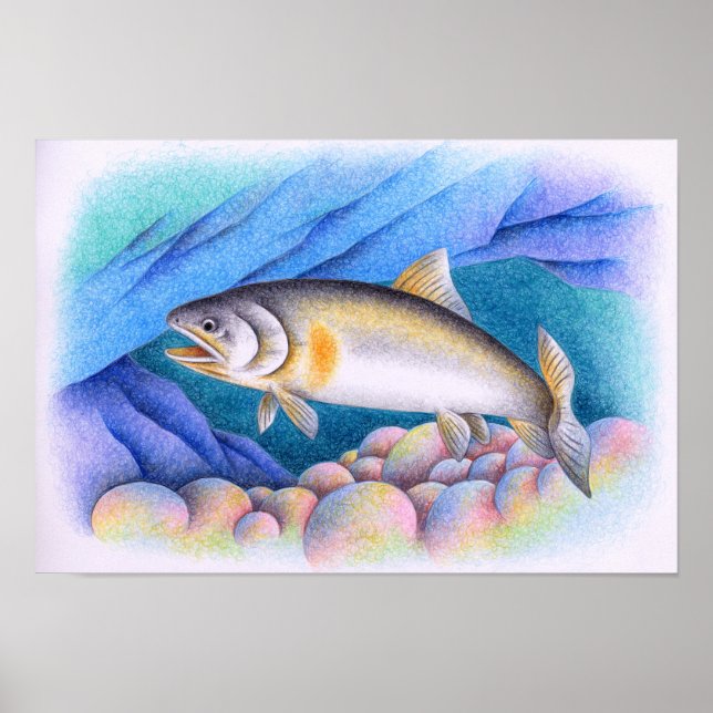 Ayu swimming in a clear stream. poster (Front)