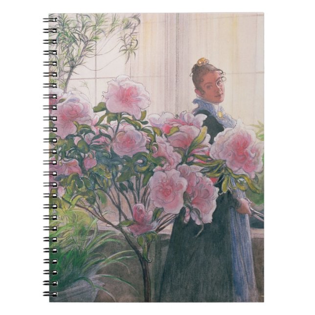 Azalea, 1906 (w/c on paper) spiral notebook (Front)