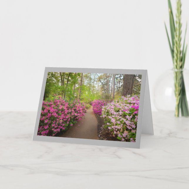 Azalea 4 Winding garden path & pink azaleas Card (Front)