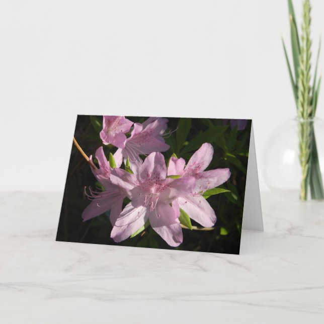 Azalea Afternoon Greeting Card (Front)