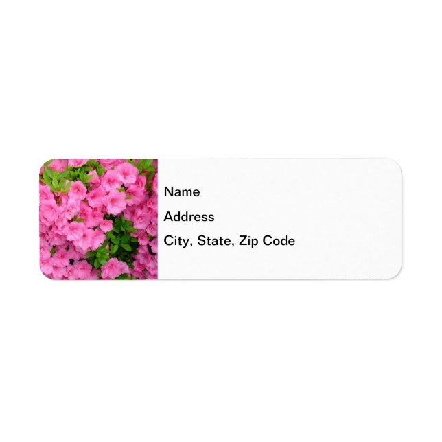 Azalea Bush (Front)
