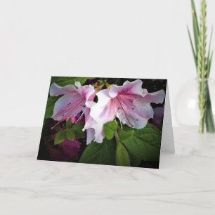 Azalea, card