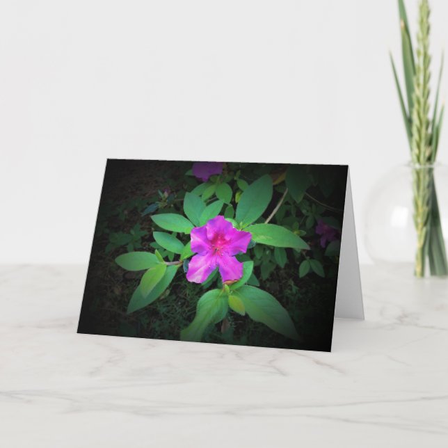 Azalea, card (Front)
