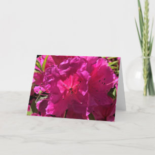 Azalea, card