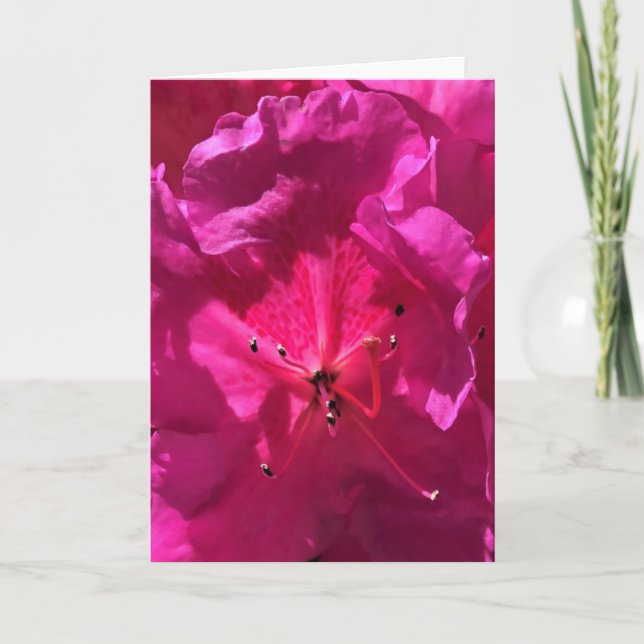 Azalea, card (Front)