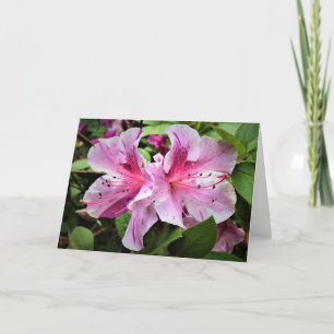Azalea, card