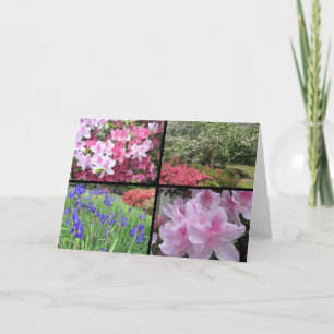 azalea dogwood iris collage note card