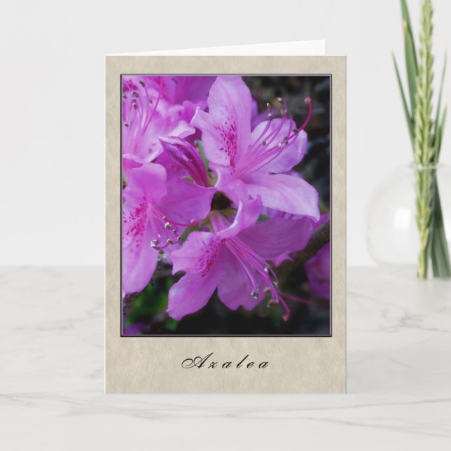 Azalea - Floral Series Card (Front)