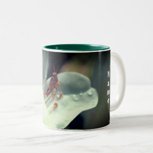 Azalea Flower And Grasshopper Personalized Two-Tone Coffee Mug